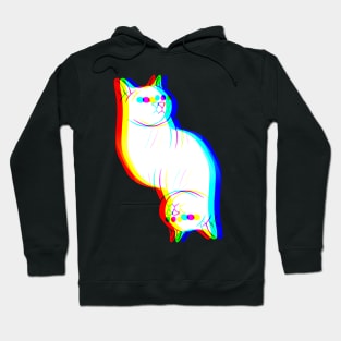 Cat Prism Hoodie